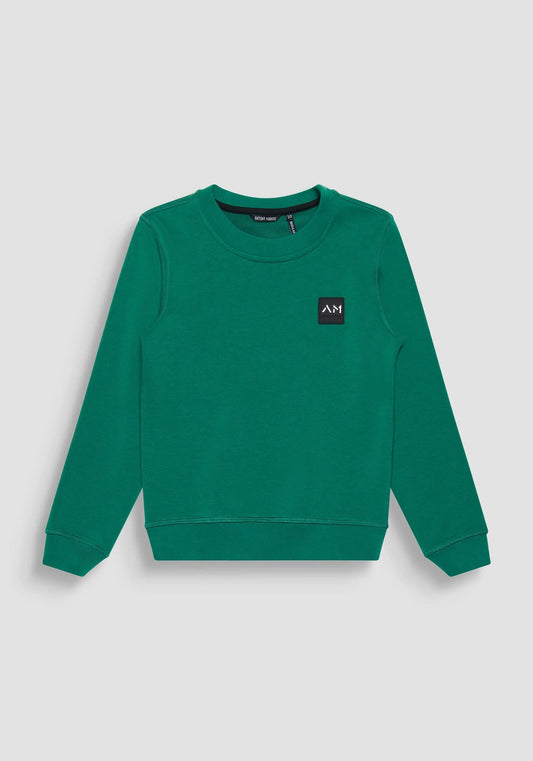 Sweatshirt Fit Regular In Sustain Niño