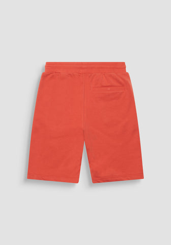 Fleece Shorts Regular Fit In S