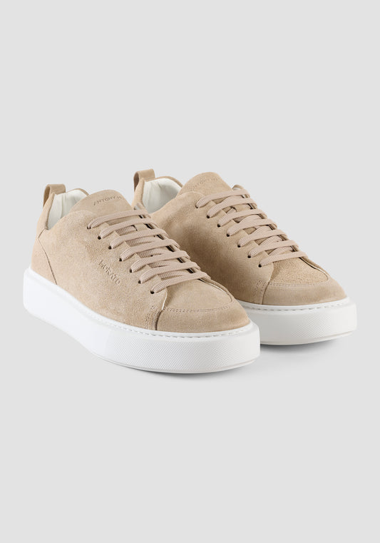 Sneaker Dixon In Suede.Logo Ac