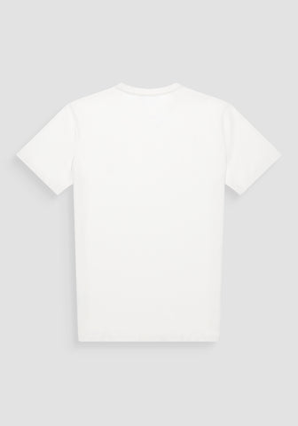 T-Shirt Regular Fit In Jersey
