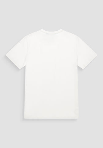 T-Shirt Regular Fit In Jersey